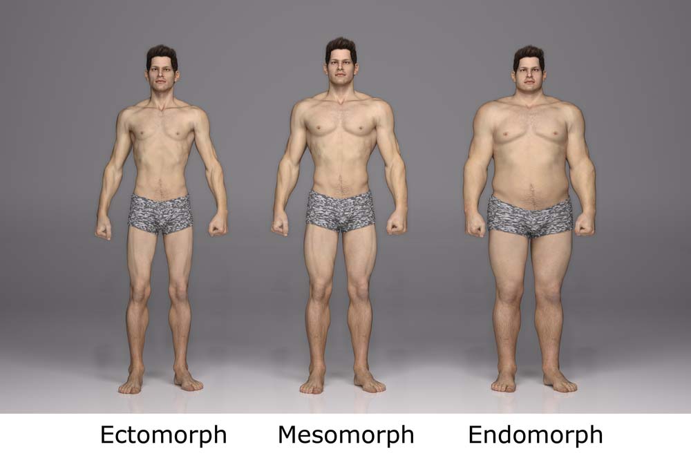 prise de masse musculaire femme prise de masse musculaire femme
